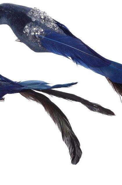 Feather Bird with Clip - 6 Inches Assortment of 2, Set of 6