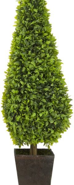 LAUREL TREE W/ POT - LARGE, 23"