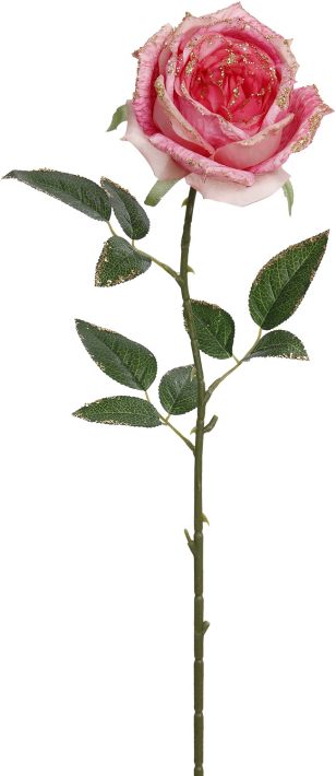 06-01028-PK.PRIZEDGRDNROSE 27''
