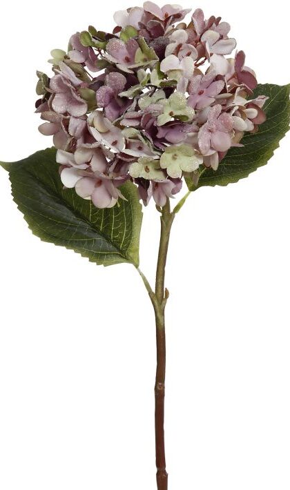 06-01030-LAV.ICED HYDRANGEA STEM 22''