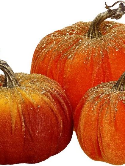 Mini Pumpkin Set of 3,  3"-5", 06-01094