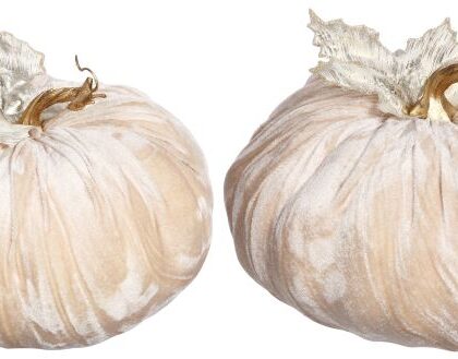Velvet Pumpkin, Set of 2 - 6 Inches