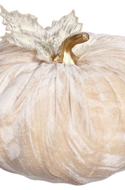 Velvet Pumpkin, Large - 10 x 6 Inches