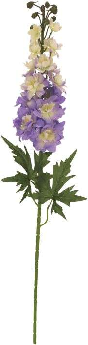 Delphinium Stem - 31 Inches, Set of 12