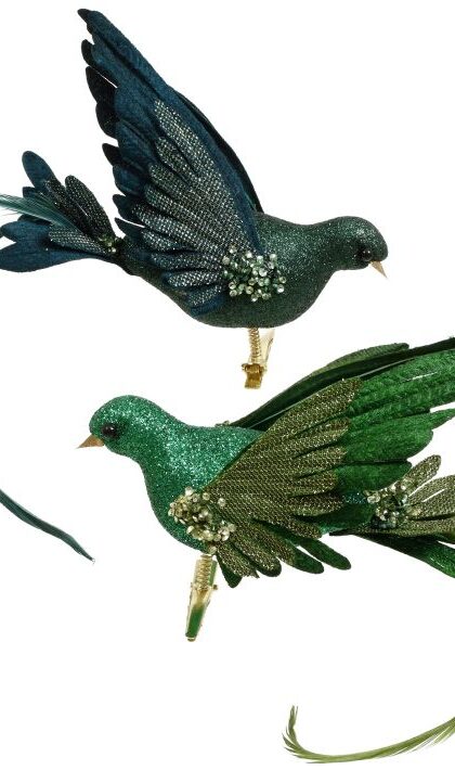 Fancy Bird Cip On, Set of 2 - 9X3' Inches