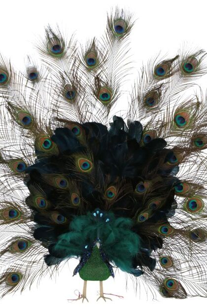 Elegant Peacock 41 x 7 Inches - FREE SHIPPING