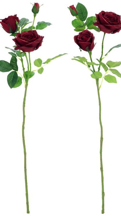 Luscious Garden Rose Natural Touch, Assortment of  2- 31 Inches, Set of 6