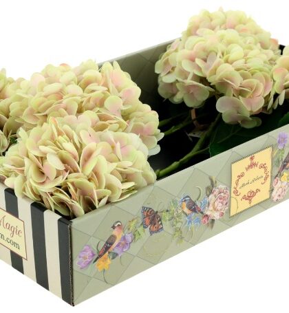 Vibrant Hydrangea Natural Touch, Box of 6 - 19 Inches