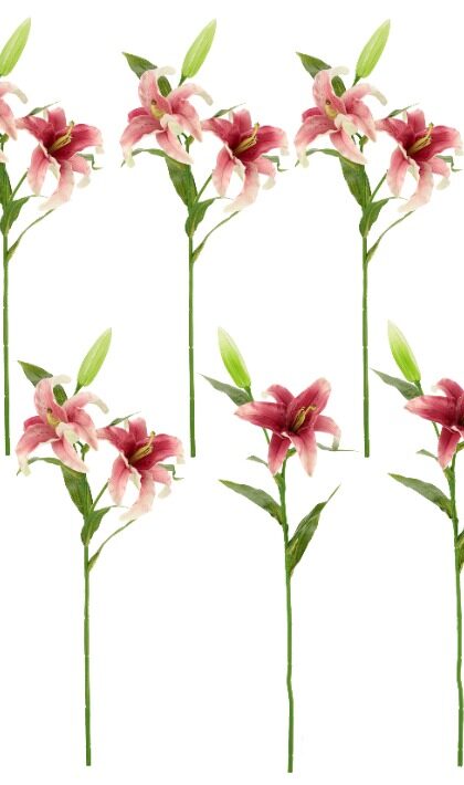 Majestic Stargazer Lily Natural Touch, Assortment of 2 - 23 Inches, Set of 6