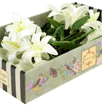 Majestic Casablanca Lily Natural Touch, Box of 6 - 23 Inches