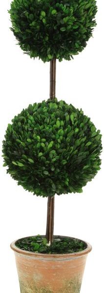 10-00910.TALL DBL BXWD TOPIARY42''