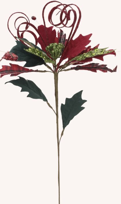 Curly Plaid Pick - 28.5 Inches, Set of 12