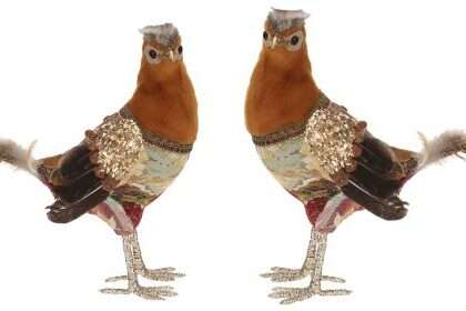 Fancy Pheasant Set of 2 - 9-10 Inches