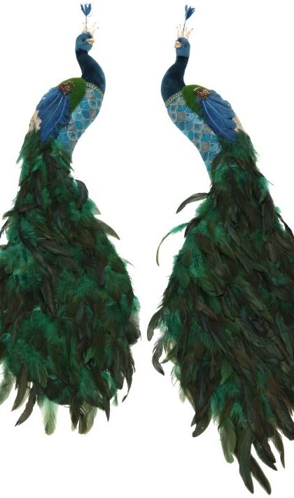 Regal Hanging Peacock, Large, Assortment of 2 - 21 Inches