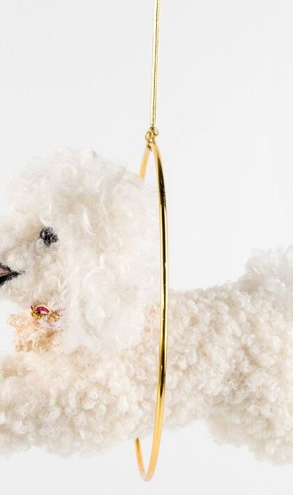 Circus Dog Ornament - 6 Inches