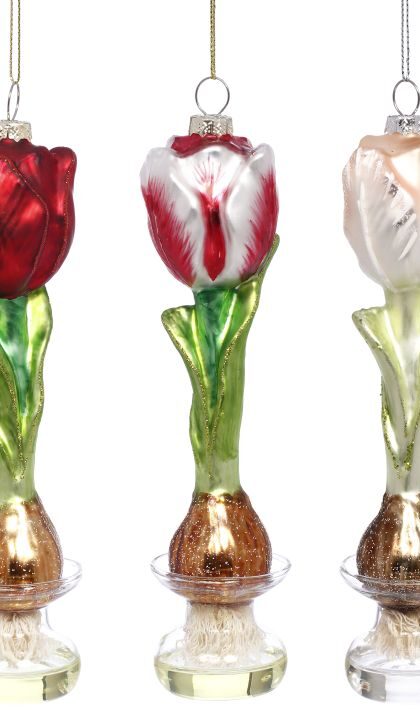 Tulip Bulb Ornament, Assortment of 3 - 7 Inches, Set of 6