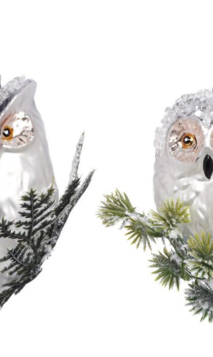 Owl on Branch Ornament, Assortment of 2 - 5 Inches, Set of 6