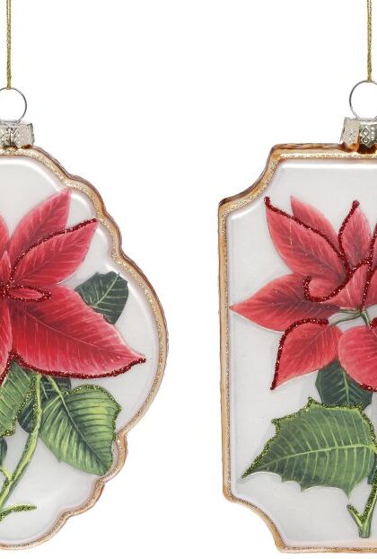 Poinsettia Framed Ornament, Assortment of 2 - 6 Inches, Set of 12