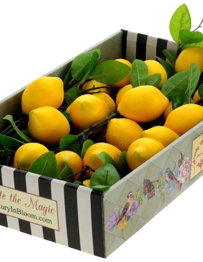 Lemon Spray, Box of 6 - 30 Inches