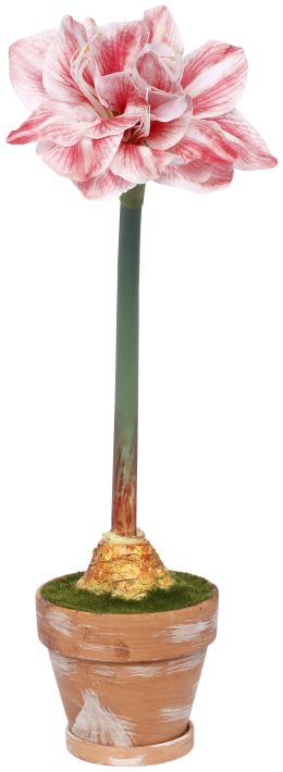 Potted Amaryllis Flower - 26 Inches, Set of 2