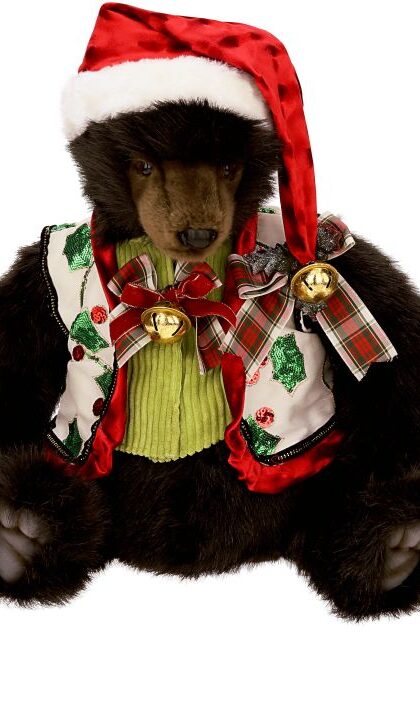 Teddy Bear Costume - 10 Inches