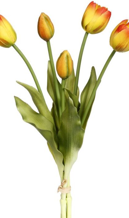 Blooming Tulip Bunch - 15 Inches, Set of 6