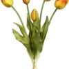 6 Bunch of 5 of Orange Blooming Tulip Bunch - 15 Inches