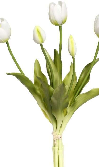 Blooming Tulip Bunch White 15" - FREE SHIPPING