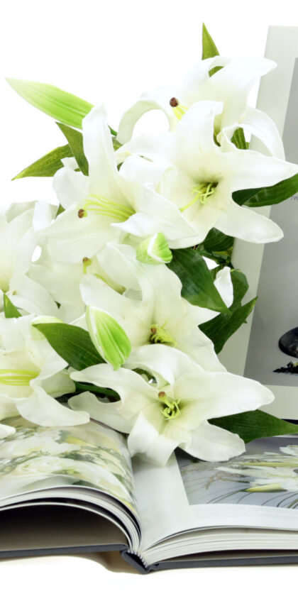 Rene’s Bouquets for Brides: Twenty-Five Styles of Fashion Forward Floral Creations by Rene Van Rems